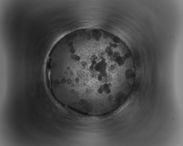 X0000092211079200709210945