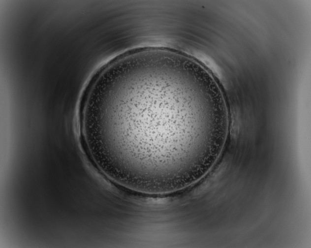 X0000092211080200709210945