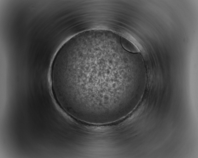 X0000092211084200709210945