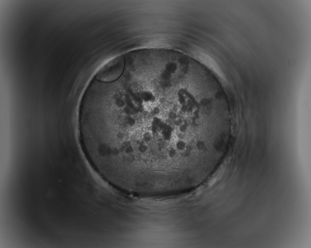 X0000092211087200709210945