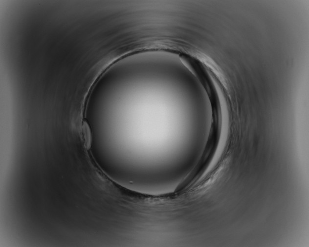 X0000092211089200709210945