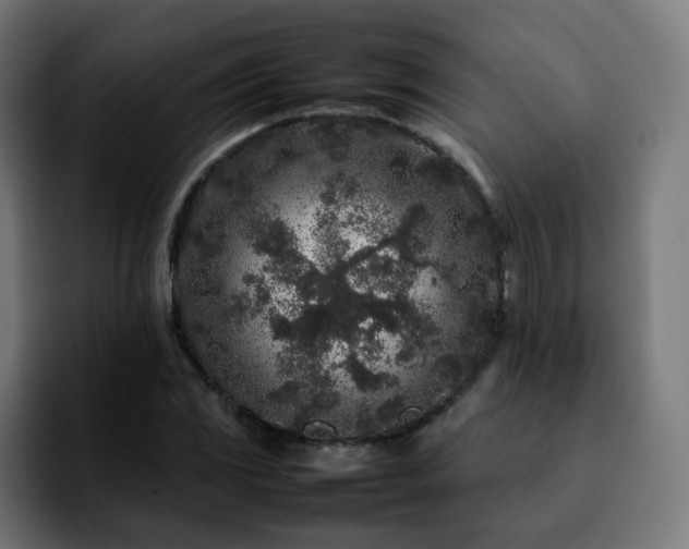 X0000092211117200709210945