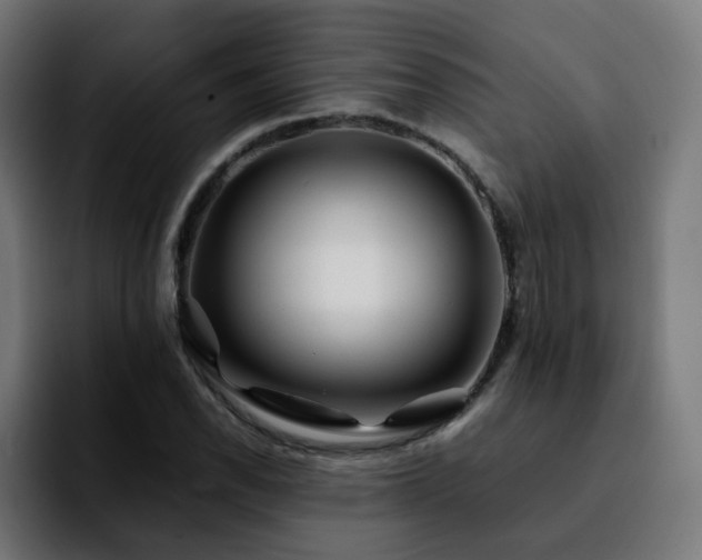 X0000092211118200709210945