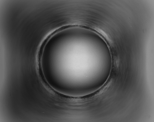 X0000092211120200709210945