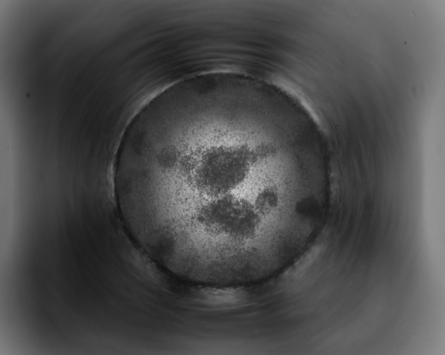 X0000092211121200709210945