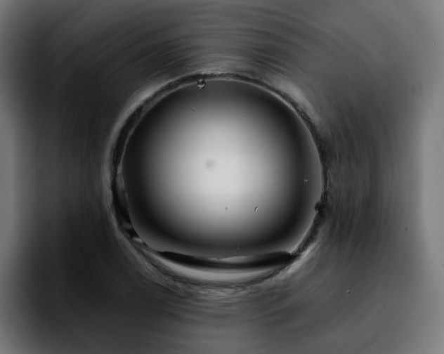 X0000092211122200709210945