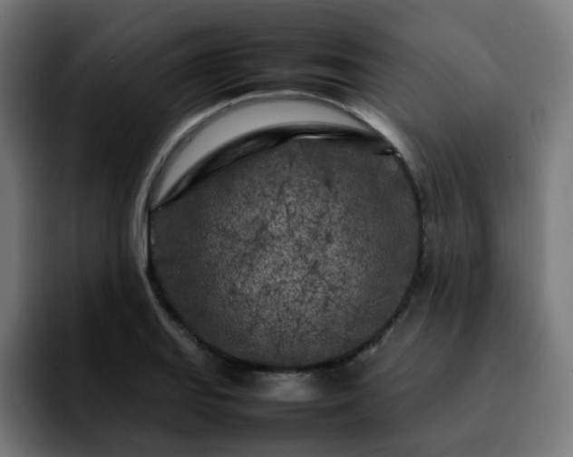 X0000092211127200709210945