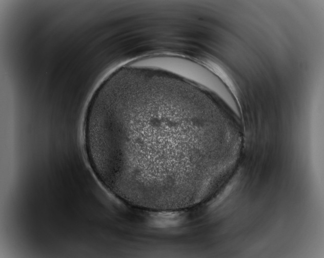 X0000092211141200709210945