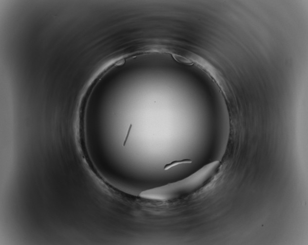 X0000092211147200709210945