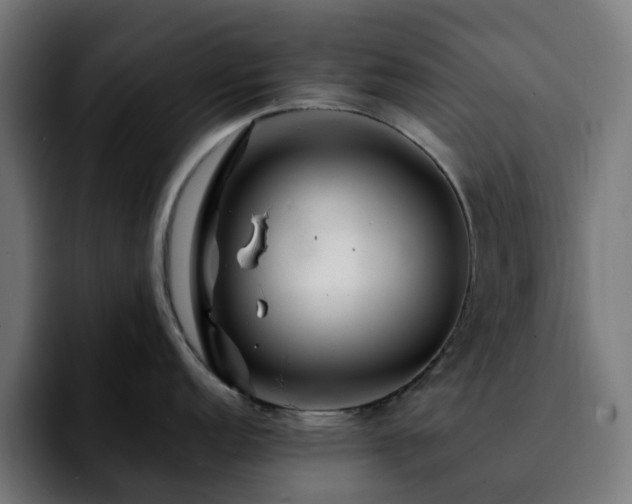 X0000092211152200709210945