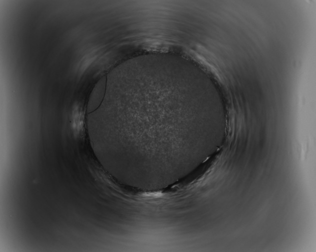 X0000092211154200709210945