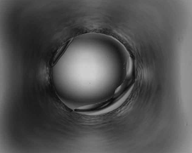 X0000092211156200709210945