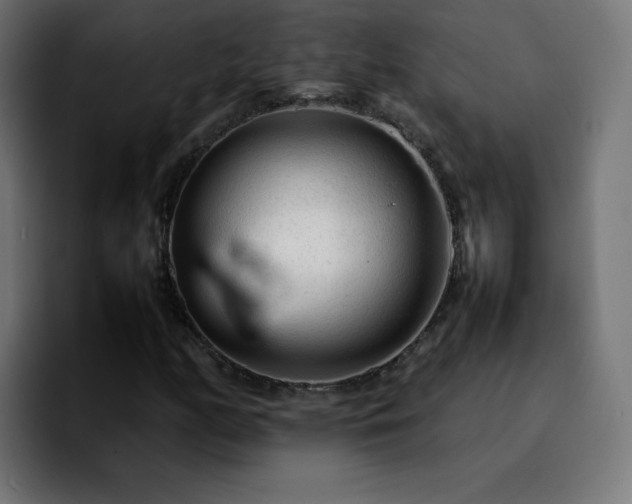 X0000092211158200709210945