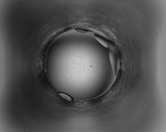 X0000092211159200709210944