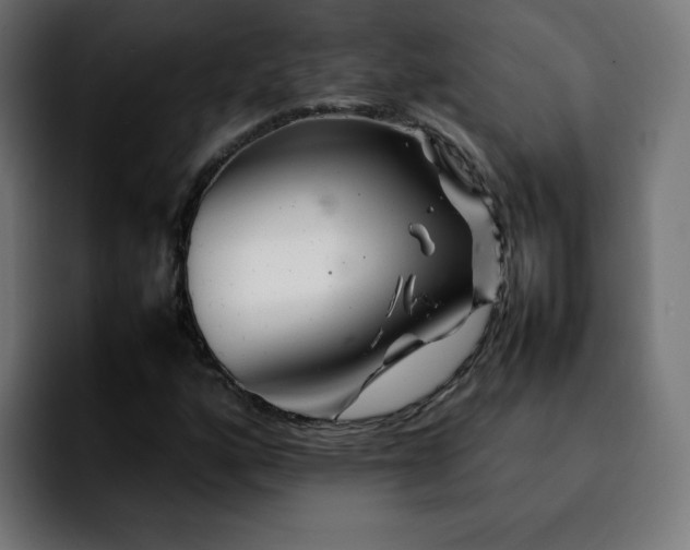 X0000092211160200709210944