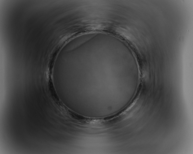 X0000092211161200709210944