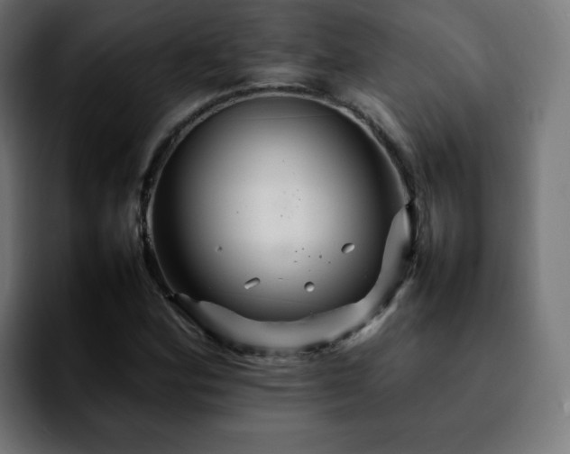 X0000092211164200709210944