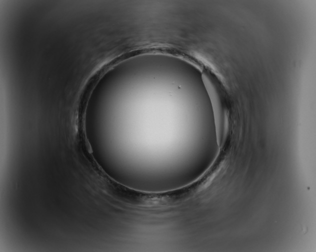 X0000092211165200709210944