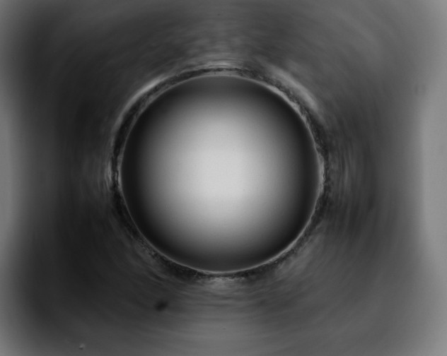 X0000092211166200709210944