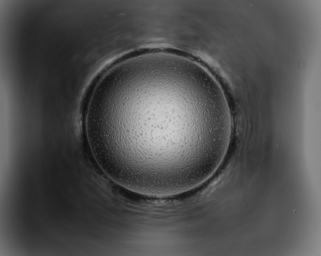 X0000092211167200709210944