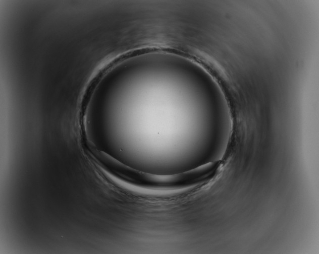 X0000092211168200709210944