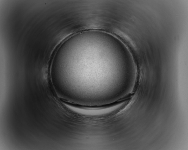 X0000092211170200709210944