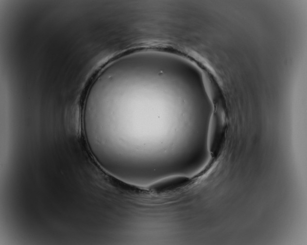 X0000092211171200709210944