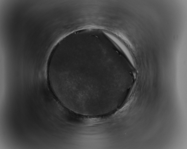 X0000092211173200709210944