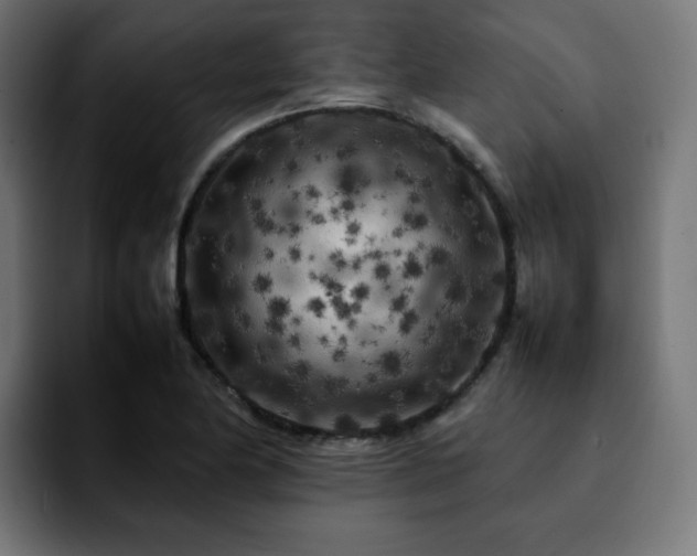 X0000092211174200709210944