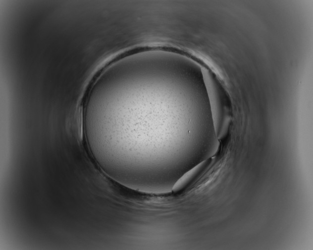 X0000092211175200709210944