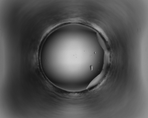 X0000092211176200709210944