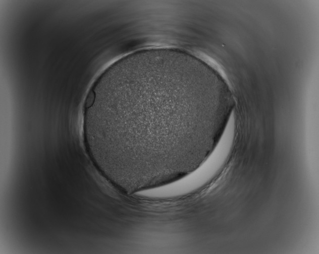 X0000092211179200709210944