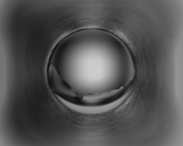 X0000092211181200709210944