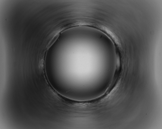 X0000092211185200709210944