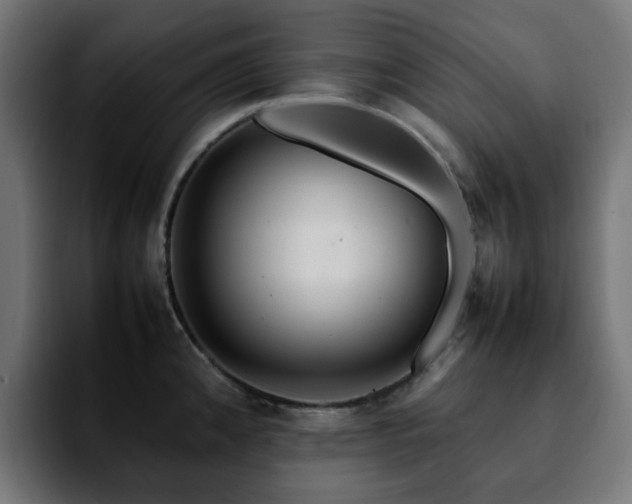 X0000092211192200709210944