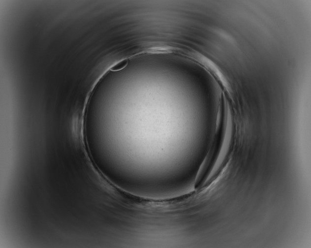 X0000092211194200709210944