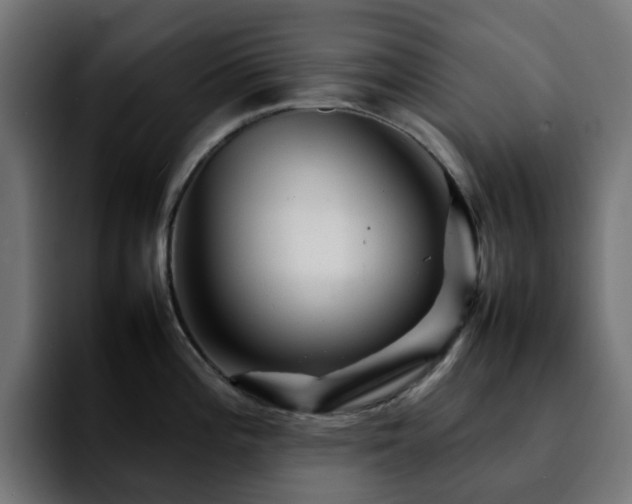 X0000092211196200709210944