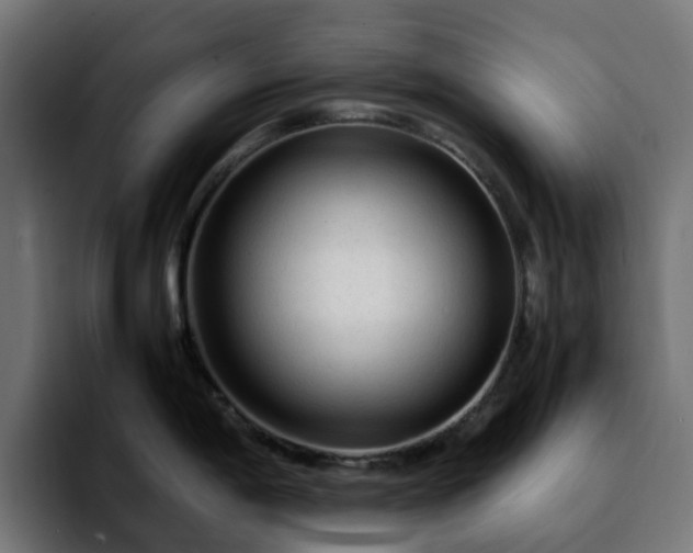 X0000092211198200709210944