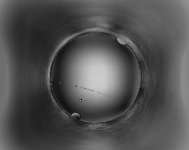 X0000092211199200709210944