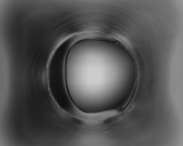 X0000092211200200709210944