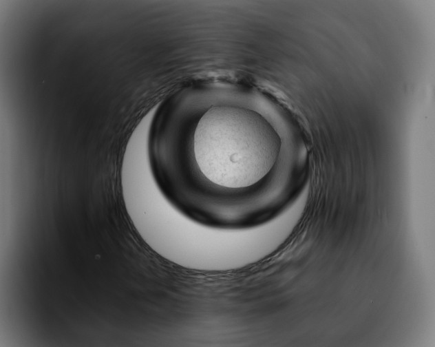 X0000092211202200709210943