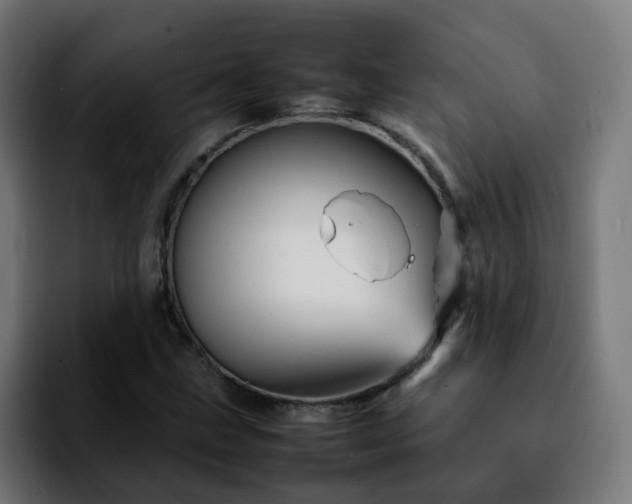 X0000092211211200709210944