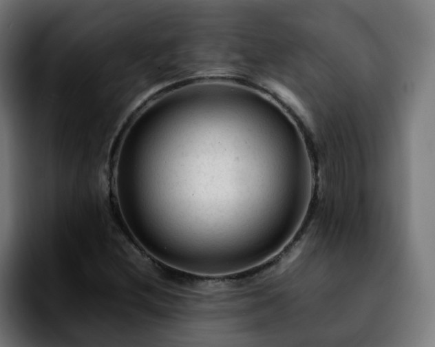 X0000092211212200709210944