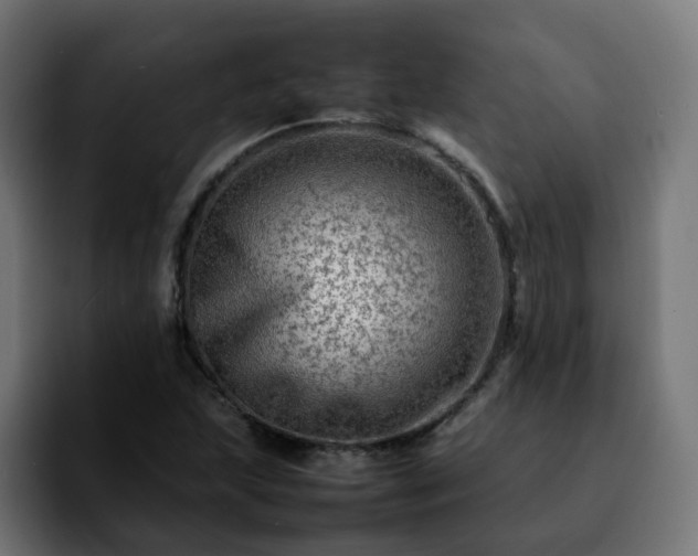 X0000092211215200709210944