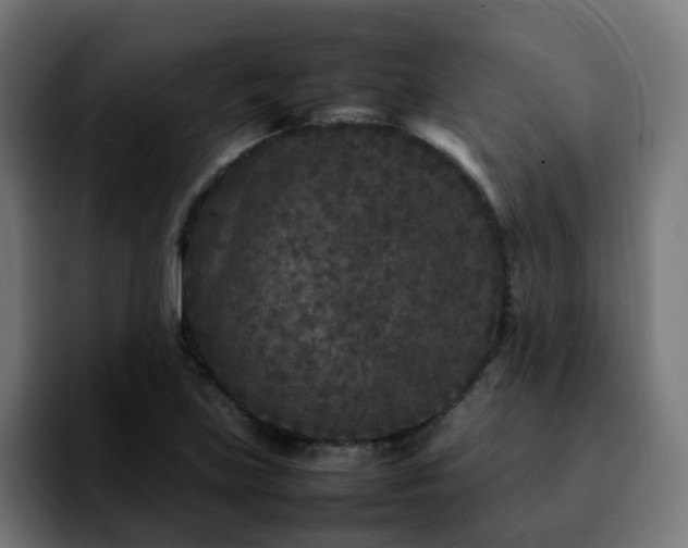 X0000092211219200709210944