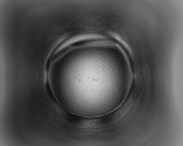 X0000092211221200709210944