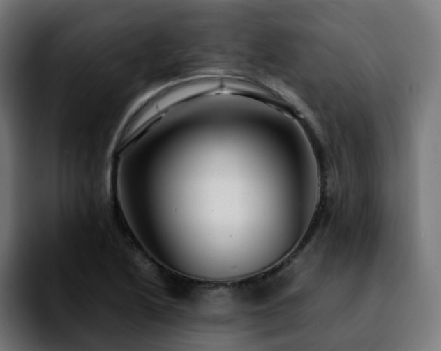 X0000092211222200709210944