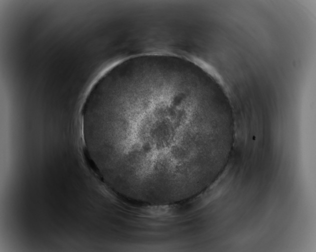 X0000092211223200709210944