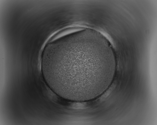 X0000092211224200709210944