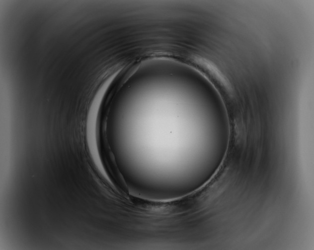 X0000092211225200709210944